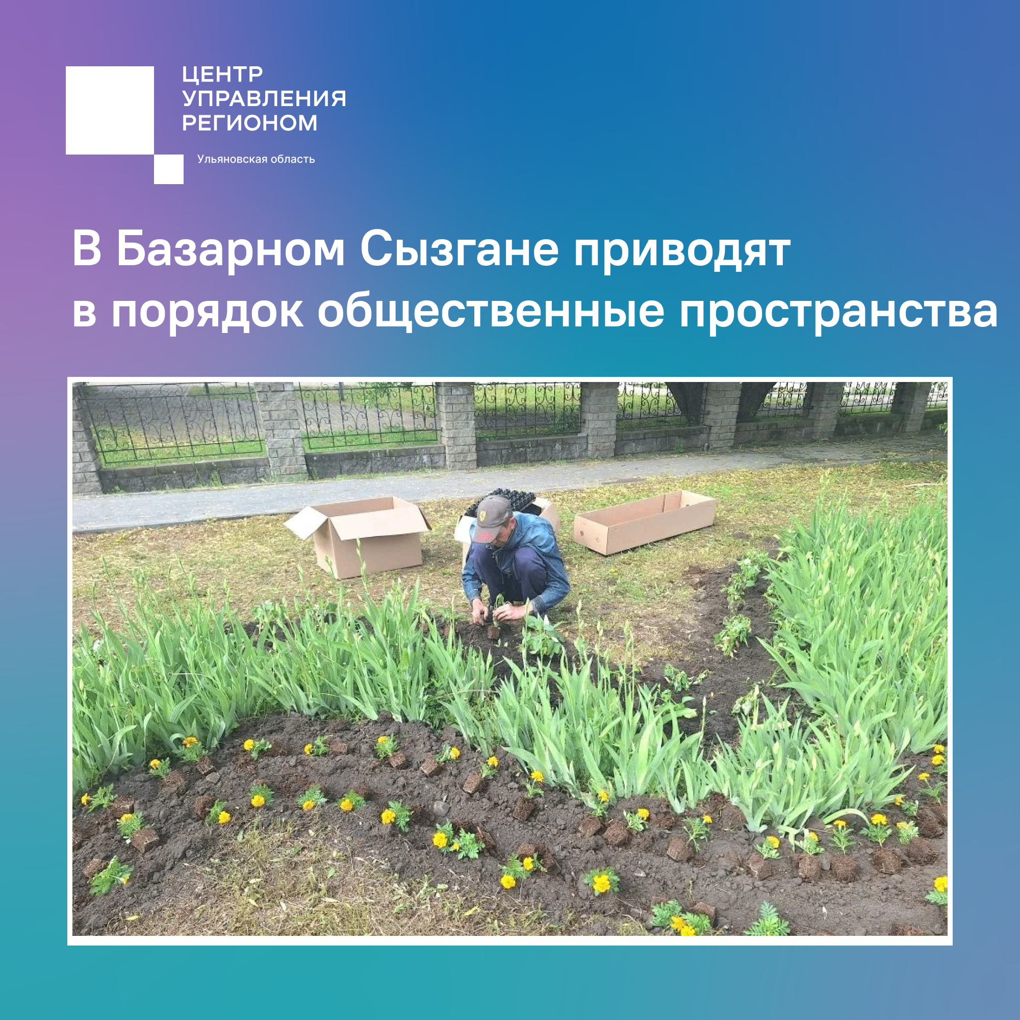 Высадили цветы.