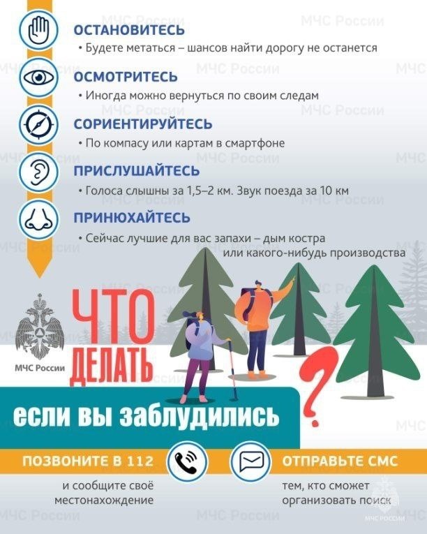 Что делать, если вы заблудились?.