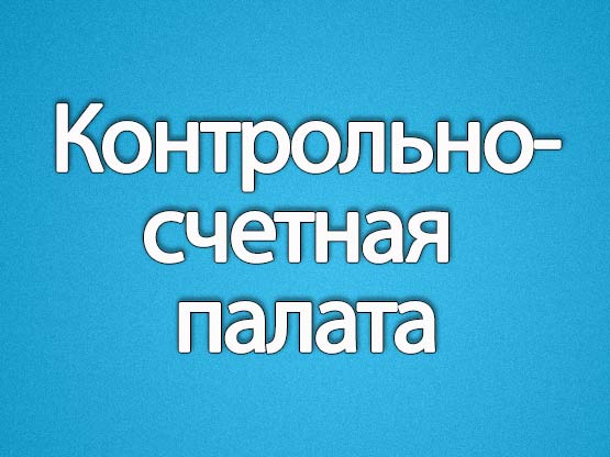 Счетная палата Ульяновской области провела межрегиональный круглый стол «Проблемы суммовой оценки неэффективных расходов бюджетных средств».