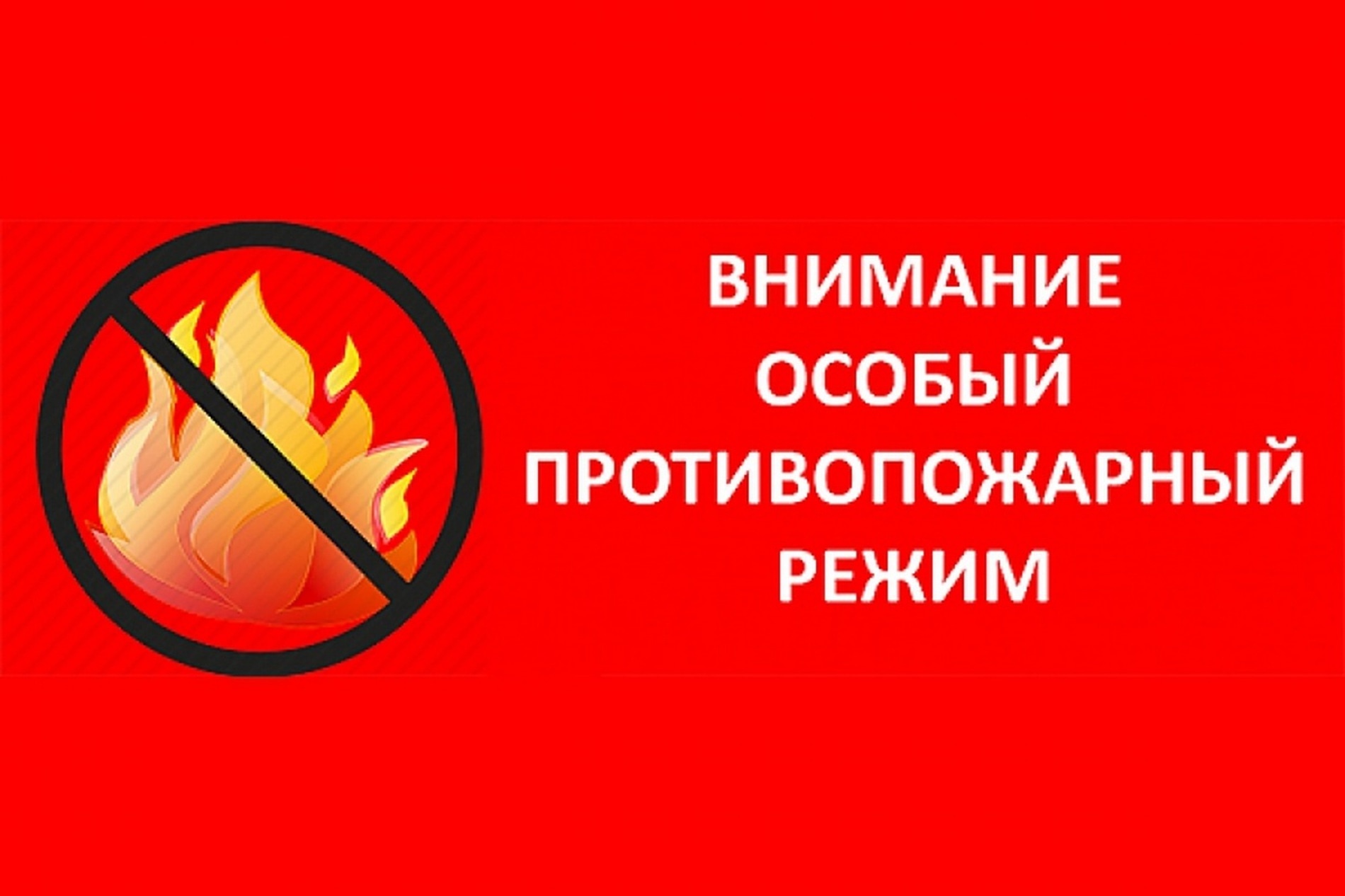 На территории Ульяновской области с 29 декабря 2025 года по 11 января 2026 года вводится особый противопожарный режим..